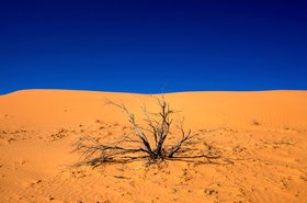TonyFeder / Thinkstock