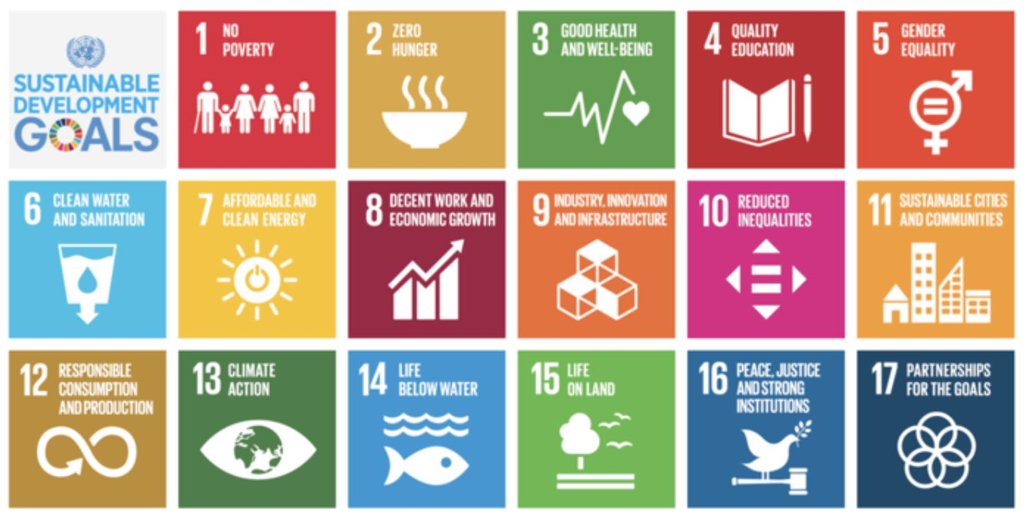 UN SUstainability goals.JPG