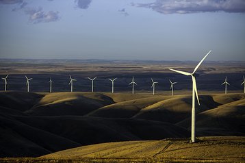 Washington_Stateline_Wind_Energy_Center_Stateline_IMG_0645-2 600pix
