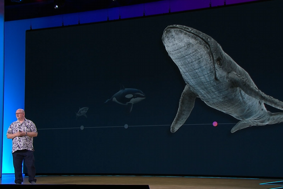 Whale_Supercomputer.width-880