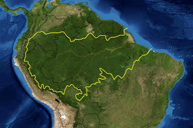 amazonia.png
