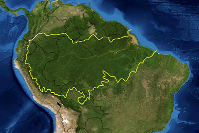 amazonia.png