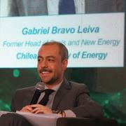 Gabriel Bravo