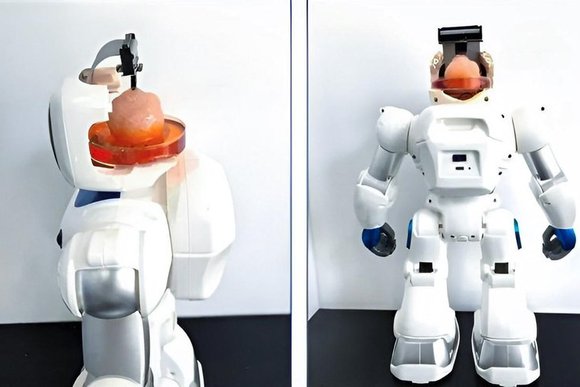 brainonchiprobot.width-880