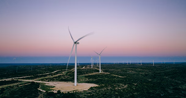 Oracle Locks In 1.7GW of Texas Wind Power to Feed Its AI Data Centers