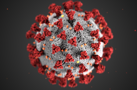 coronavirus.PNG