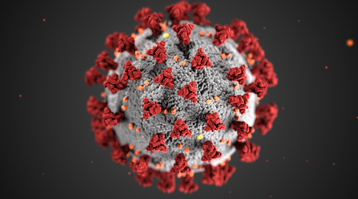 coronavirus.PNG