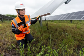 cottonwood-solar-farm-(texas,-usa)