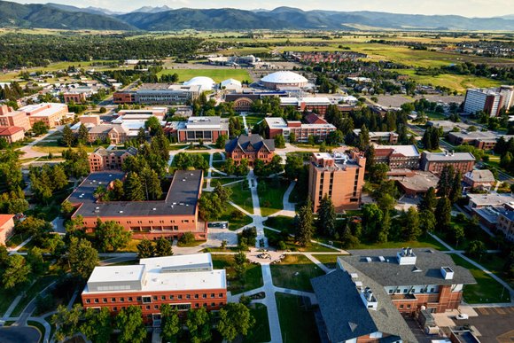Montana State University
