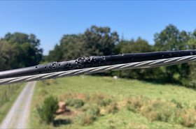 Firefly fiber damage