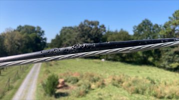 Firefly fiber damage
