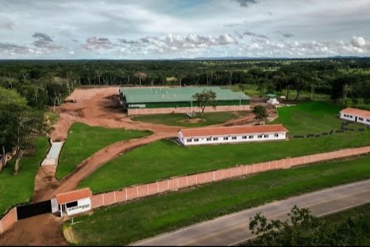 exomad green biochar facility concepcion bolivia crop