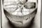 fan-resized_1.jpg