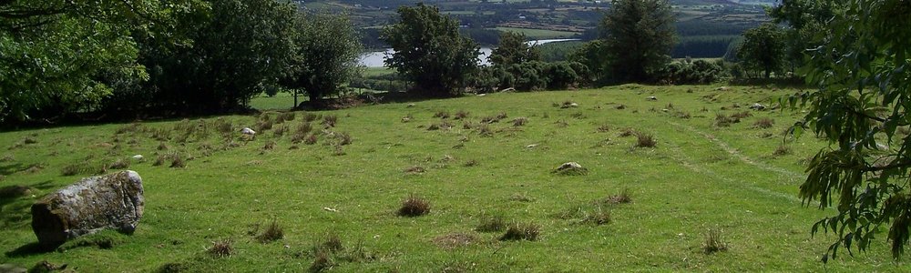 field-267905_1280.jpg
