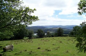 field-267905_1280.jpg