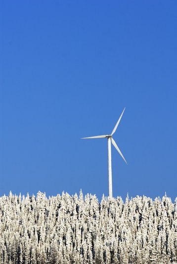 Google Wind Farm