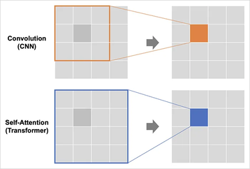 Differences between Convolution (CNN) and Self-Attention (Transformer) graphic