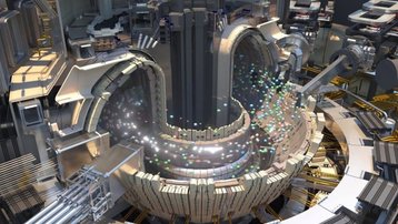 Tokamak visualization