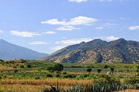 jalisco.jpg