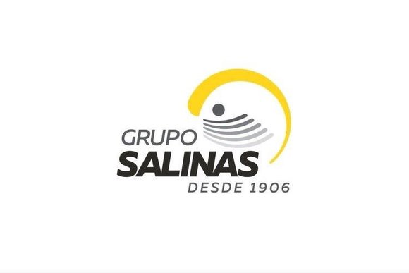 logo_grupo_salinas.width-880