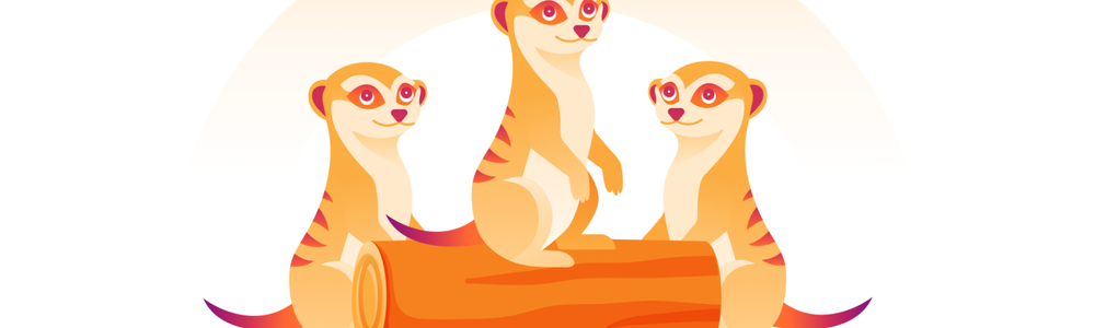 meerkats