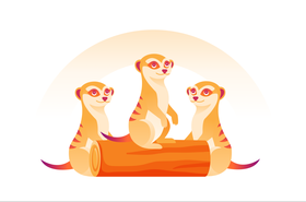 meerkats