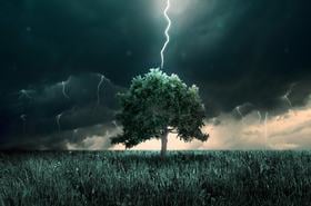 Lightning striking a tree