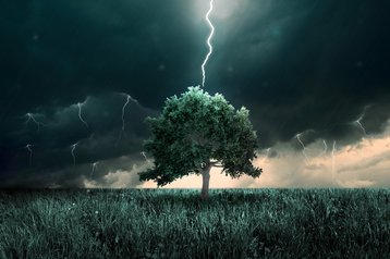 Lightning striking a tree