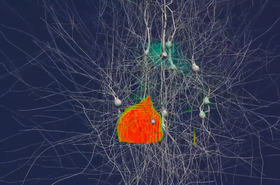 A 100 neuron simulaton