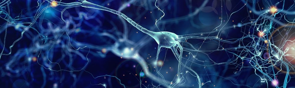 Neural fabric