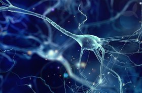 Neural fabric