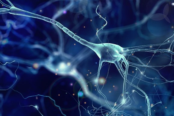 Neural fabric