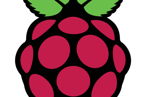 raspberrry pi logo