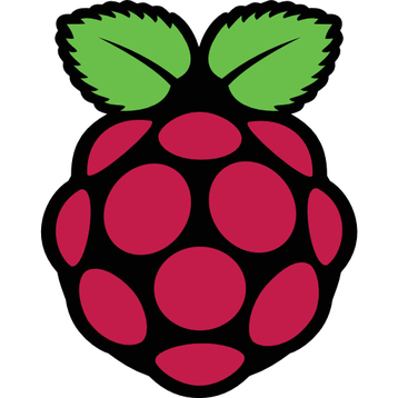 raspberrry pi logo