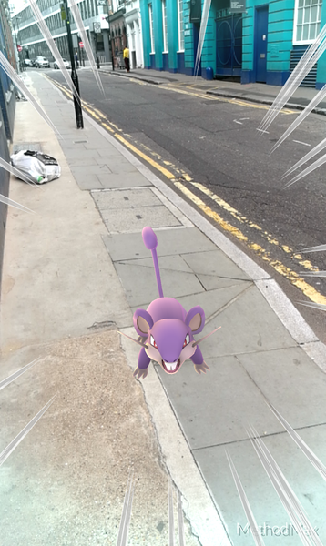 Suddenly a wild Rattata appears outside the DCD offices