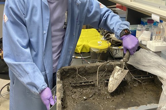 soil powered fuel cell Northwestern University