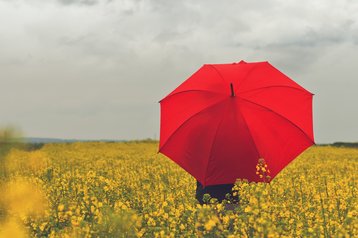 Red umbrella