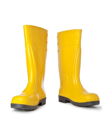 Wellington boots