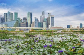 themorningglory - Thinkstock