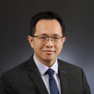 Professor PS Lee