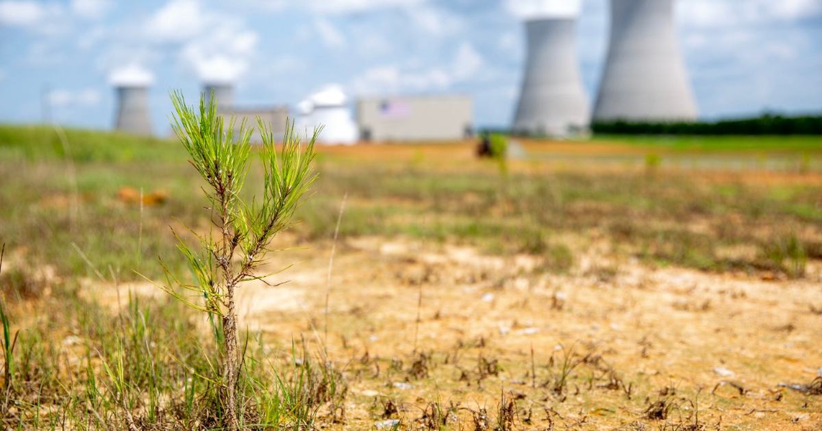 Google Backs Nuclear Uprates at Georgia Power's Vogtle and Hatch Plants