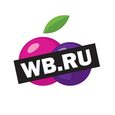 With Most Efficient Logistics, Wildberries Becomes Russia's Biggest Web  Retailer