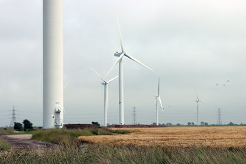 wind farm wind turbine