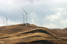 wind turbine farm renewable fields