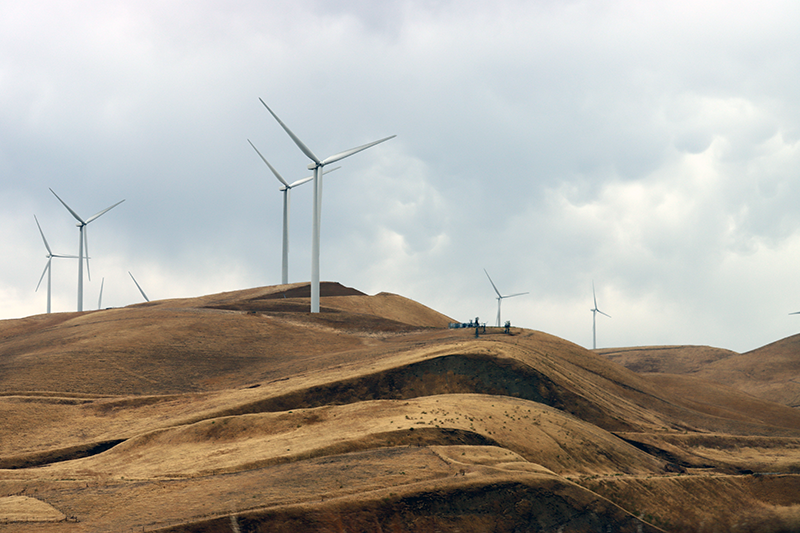 wind turbine farm renewable fields