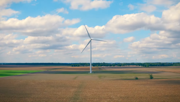 Amazon Wind Farm