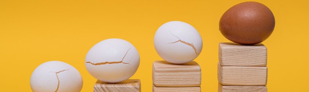 winners and losers